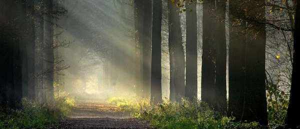 My Connection to Spirit