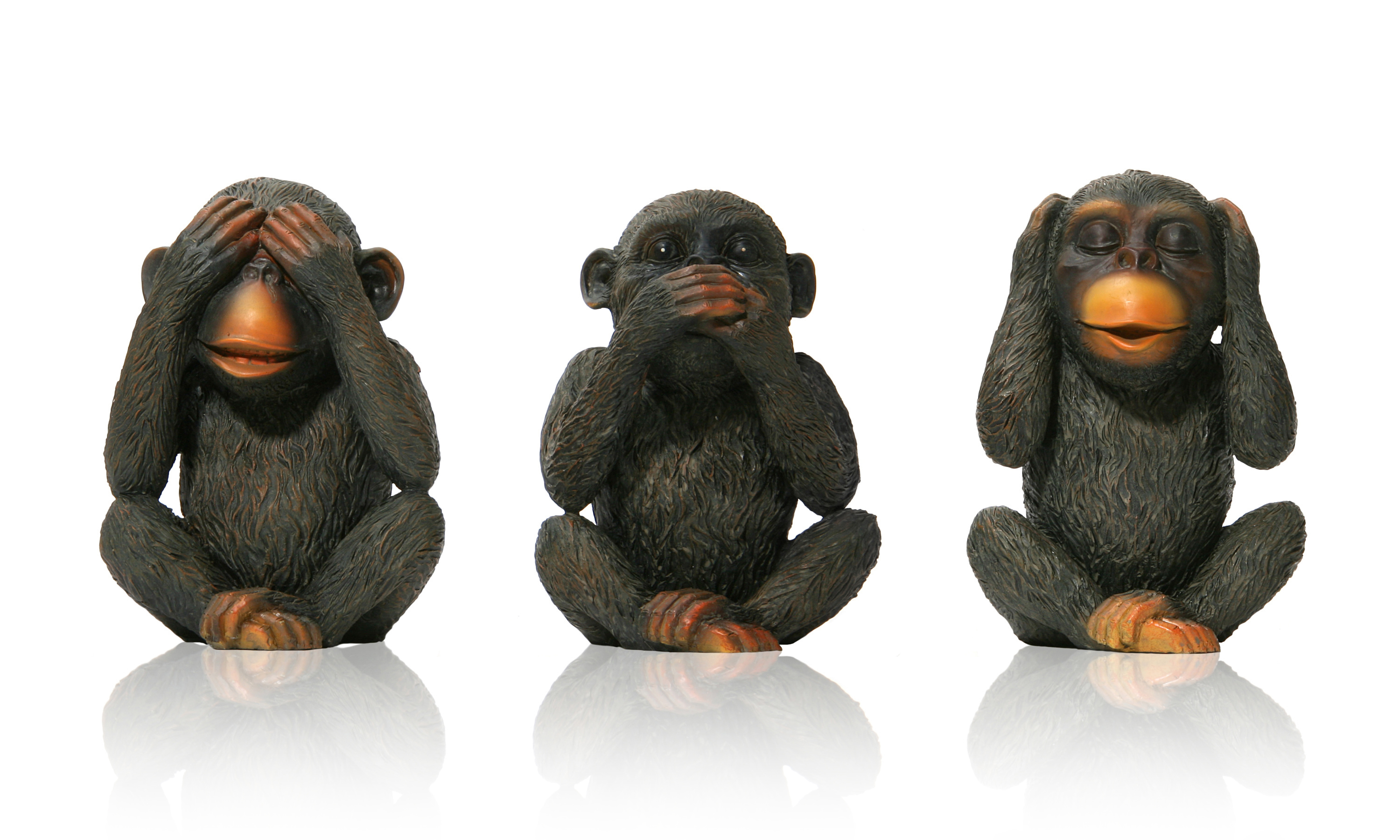 2016 Year of the Yang Fire Monkey