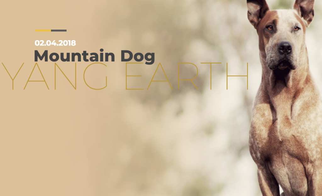 2018 Year of the Mountain Dog